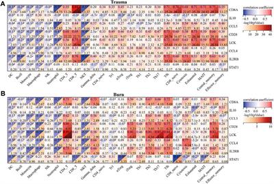 Genetic and immune crosstalk between severe burns and blunt trauma: A study of transcriptomic data